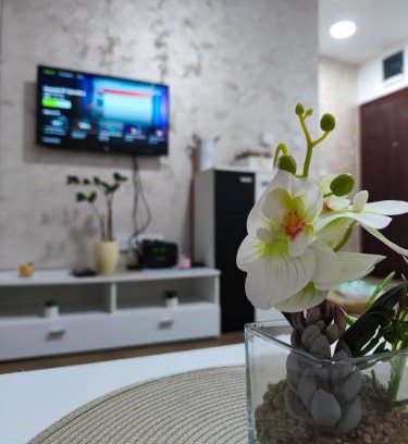 Sremska Mitrovica Apartment | Apartman Tara 2