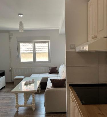 Vladicin Han Apartment | Apartmani Vrla NEW