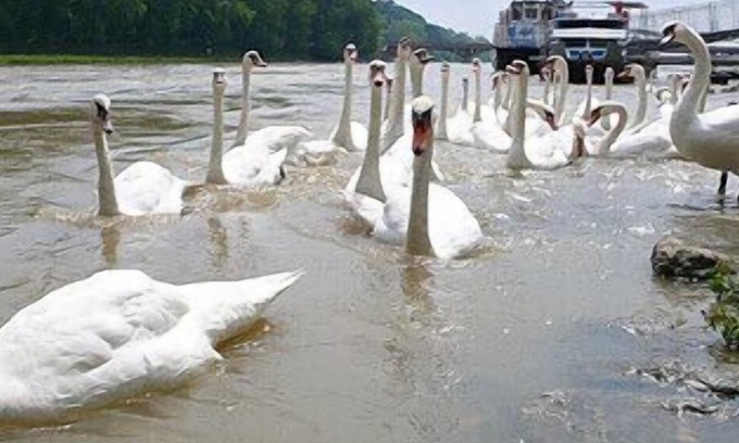 Piestany Apartment | Apartmany Halex Centrum City Aupark