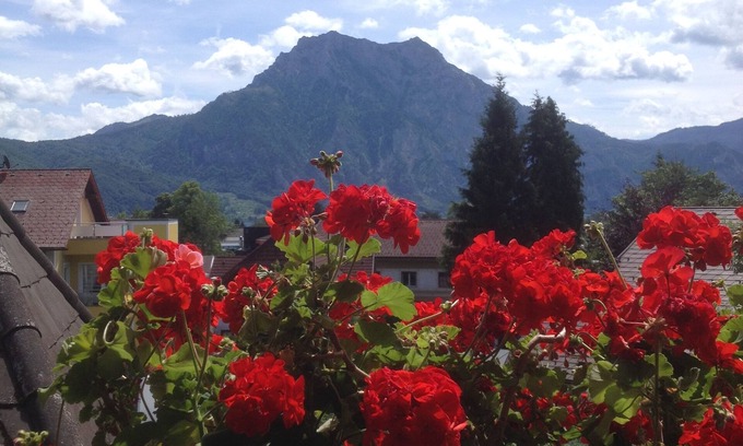 Altmuenster Apartment | Apartment 2 with balcony Traunsteinblick