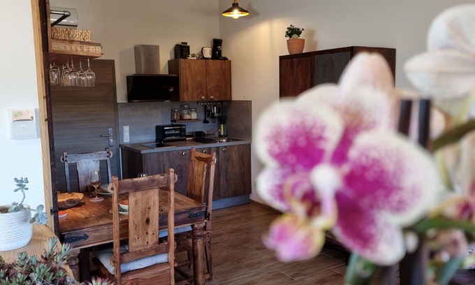 Sasbach am Kaiserstuhl Apartment | Apartment 'A' with Mountain View, Wi-Fi and Air Conditioning