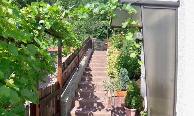 Waldhambach Condo | Apartment - 2 km to the wine road - sun terrace and panoramic views