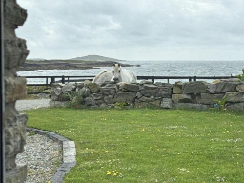 Clifden House | Apartment 471 - Clifden