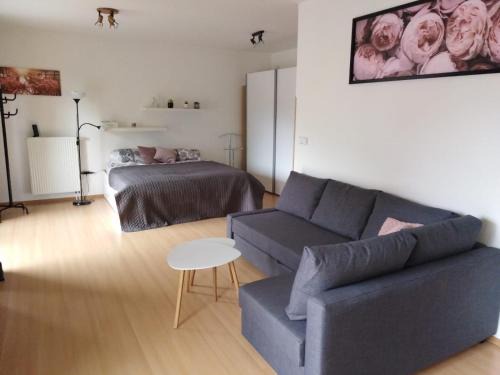 Podebrady Apartment | Apartment Archa Poděbrady