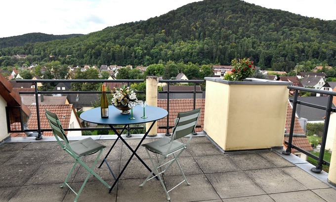Kaysersberg-Vignoble Apartment | Apartment 130 m² - Panoramic view of the Vosges foothills and medieval KB
