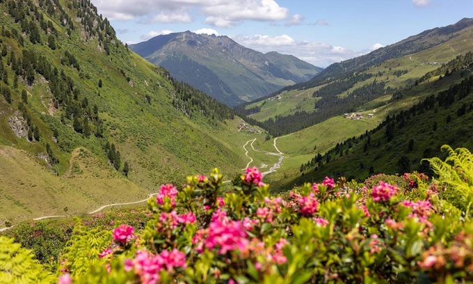 Fuegenberg Apartment | apartment Gipfelstürmer directly on the ski slope