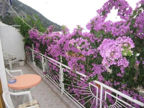 Gradac Apartment | Apartment Graciela