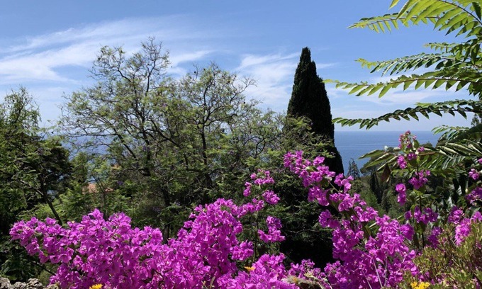 Vallebona Apartment | apartment in 70´s building in the Olive Jungle 3km off the mediterranean