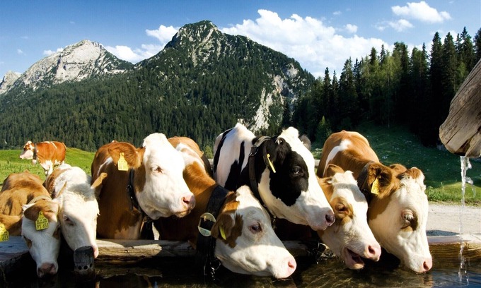 Huettschlag Apartment | Apartment in Huettschlag near the ski slopes