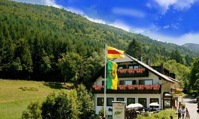 Waldkirch Apartment | Apartment 'Kandelbleibe' with Balcony and Wi-Fi