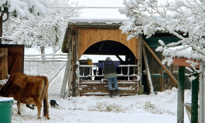 Warthe Apartment | Apartment on a small farm in an outdoor location