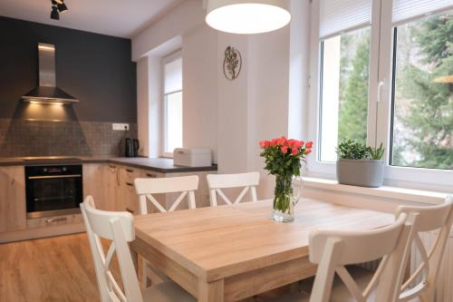 Jachymov Apartment | Apartment Schober - Rezidence K Lanovce