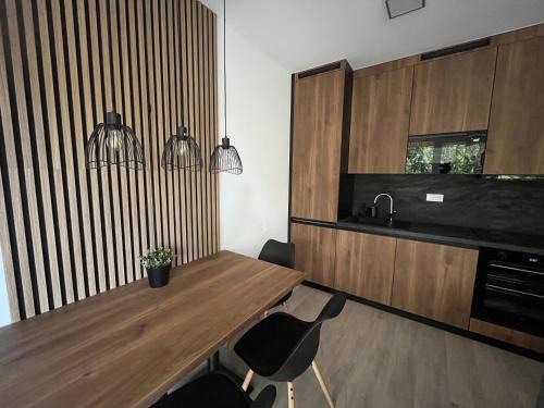 Dolni Morava Apartment | Apartment SKY