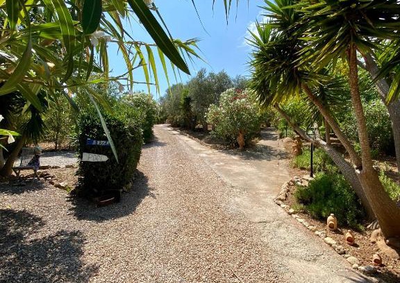Son Macia Apartment | Apartment Tejado in Manacor Mallorca - Adults Only