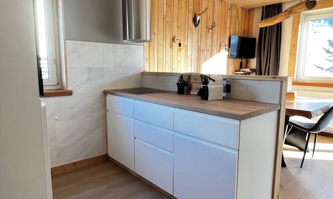 Mallnitz Apartment | Apartment with mountain view | great skiing and hiking area | near Bad Gastein