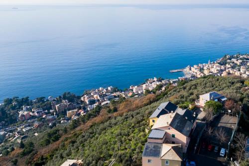 Poggio Favaro-San Bernardo Apartment | Apartment With Sea View, Private Garden, Bogliasco