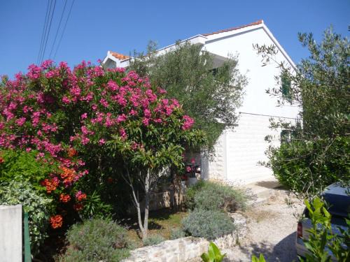Zdrelac Apartment | Apartments Suzana