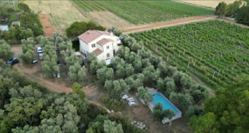 Pian di Rocca Apartment | Appartamenti in Villa