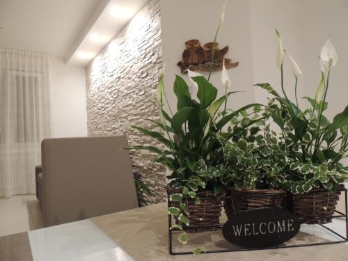 Levico Terme Apartment | Appartamenti Casa Prandel