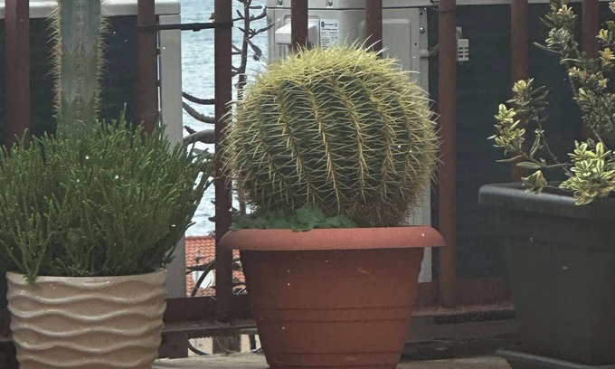 Scilla Apartment | Appartamenti Scilla paese albergo