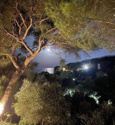 Andora Villa | Appartamento in Villa a Pinamare