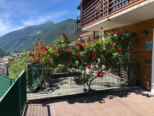 Chiesa in Valmalenco Apartment | Appartamento Castel
