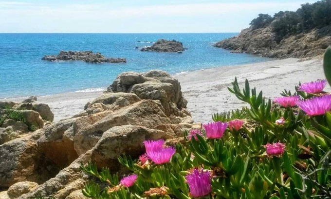 Sas Linnas Siccas House | APPARTAMENTO VISTA MARE CON ACCESSO DIRETTO ALLA SPIAGGIA DI MARZELLINU