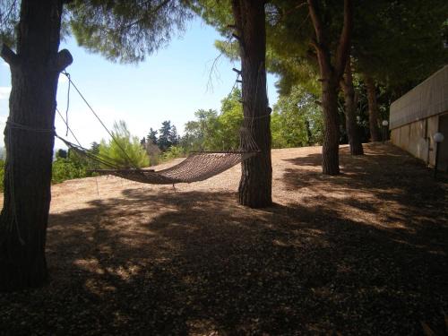Valderice Apartment | Appartamento La Pinetina