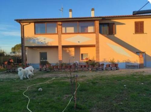 Riotorto Apartment | Appartamento Twins