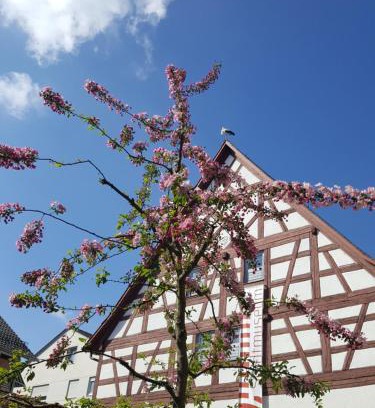 Bad Saulgau Apartment | Appartement am Stadtmuseum - ruhig und zentral gelegen