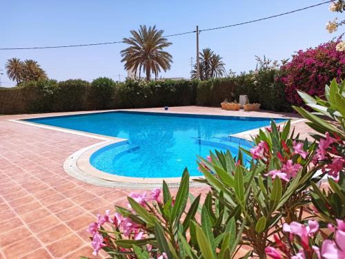 Fatou Apartment | appartement avec piscine