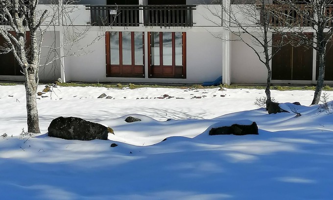 Boutx Apartment | Appartement Chaleureux en Station du Mourtis