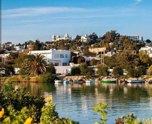 Amilcar Apartment | Appartement num3 Carthage byrsa