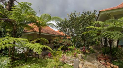 Ruteng Villa | Ara Garden Inn, Accommodation, Yoga studio & Spa