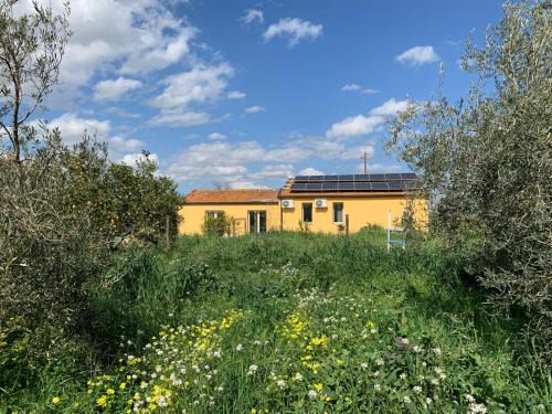 Belpasso Bed & Breakfast | Arnè