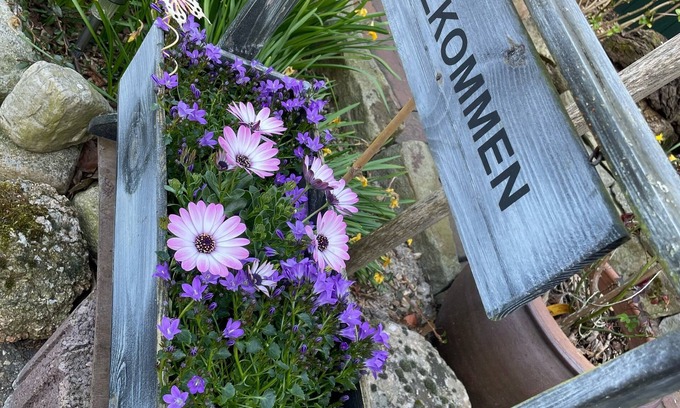 Bokelerburg Apartment | ARRIVE AND FEEL GOOD