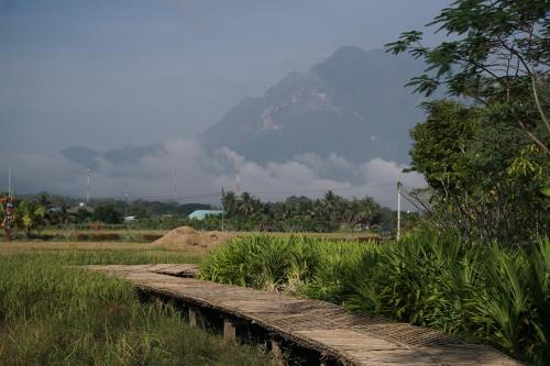 Chiang Dao House | Art House at Chiangdao - StarHouse