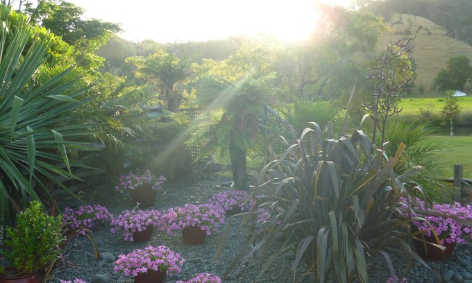 Whitianga Bed & Breakfast | At Parkland Place