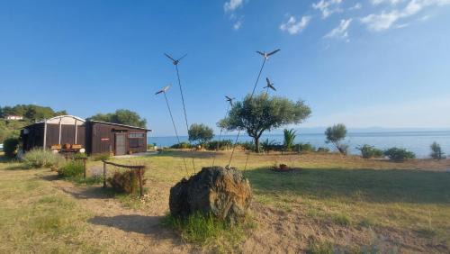 Ouranoupoli House | Athos SEAgull wagon