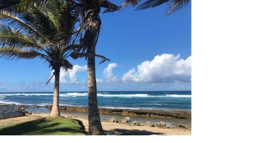 Hatillo Apartment | Atlantic View Apartments