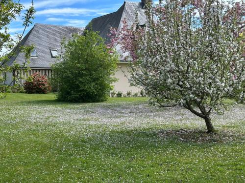 Saint-Pierre-Azif Bed & Breakfast | Au Milieu des Haras