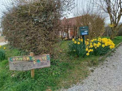 Alembon Bed & Breakfast | Au pied de la colline