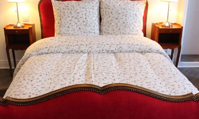 Luxeuil-les-Bains Apartment | AUSTERLITZ-Apartment