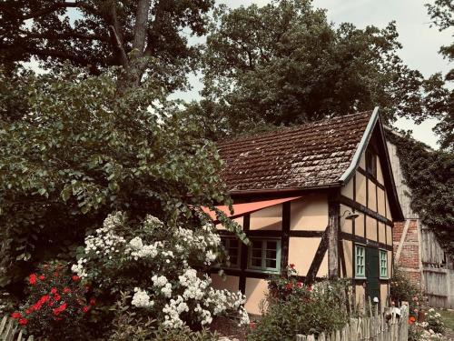 Donstorf House | Auszeit vom Alltag in urigem Ferienhaus in ruhiger, idyllischer Natur im Dümmer-Weserland