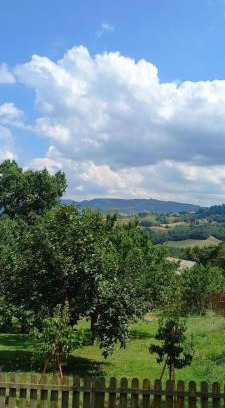 Baiso House | Azienda agrituristica La Borgaccia