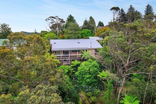 Wentworth Falls House | Azimuth - Spacious Family Retreat with City Views