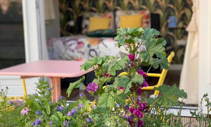 Wolphaartsdijk Bed & Breakfast | B&B Bij Kaatt