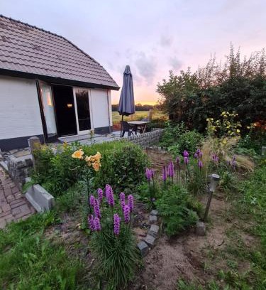 Municipality of Brummen House | B&B Bos en Wei XL