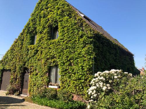 Lochristi Bed & Breakfast | B&B Carisma