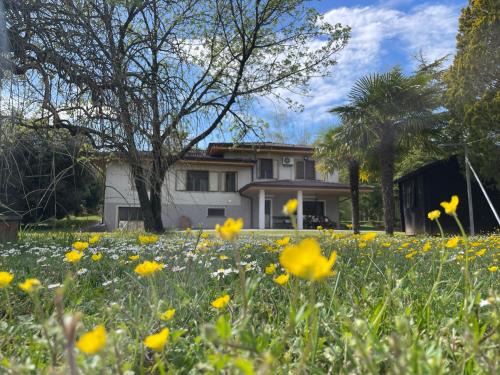 Rivarotta Bed & Breakfast | B&B Da Leone